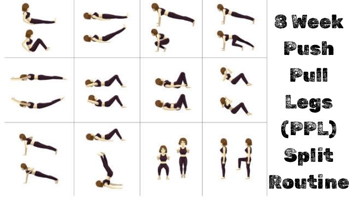 8 Week Push Pull Legs (PPL) Split Routine