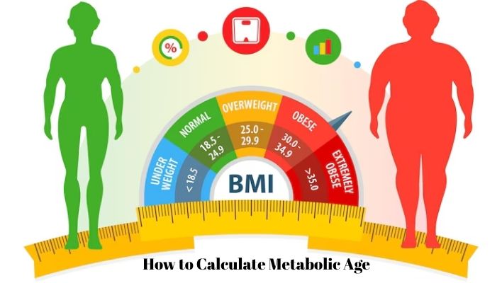 How to Calculate Metabolic Age